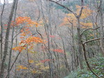 DSCN0499.JPG
