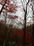 DSCN0503.JPG