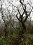 DSCN0504.JPG