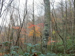 DSCN0505.JPG