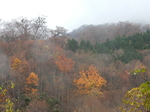 DSCN0510.JPG