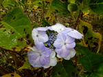 DSCN0513.JPG