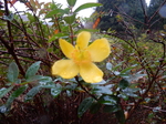 DSCN0519.JPG