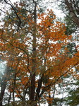 DSCN0535.JPG
