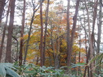 DSCN0536.JPG