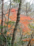 DSCN0564.JPG