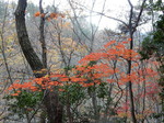 DSCN0567.JPG
