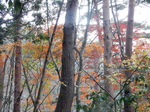 DSCN0575.JPG