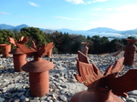 DSCN0817.JPG