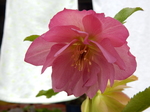 DSCN0845.JPG