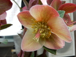 DSCN0846.JPG