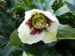 DSCN0849.JPG