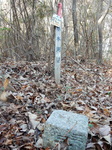 DSCN0887.JPG