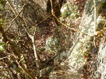 DSCN0896.JPG