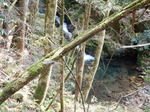 DSCN1184.JPG