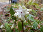 DSCN1187.JPG