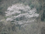 DSCN1193.JPG