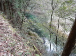 DSCN1195.JPG