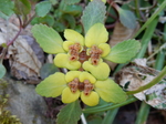 DSCN1238.JPG