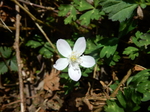 DSCN1241.JPG