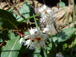 DSCN1243.JPG