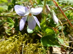 DSCN1247.JPG