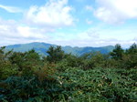 DSCN1261.JPG