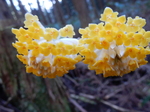 DSCN1266.JPG