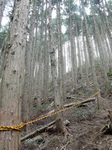DSCN1272.JPG