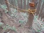 DSCN1281.JPG