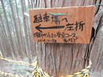 DSCN1282.JPG