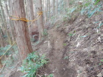 DSCN1283.JPG