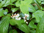DSCN1313.JPG
