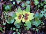 DSCN1314.JPG