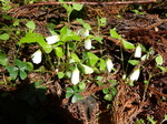 DSCN1317.JPG