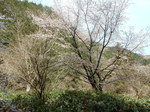 DSCN1321.JPG