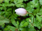 DSCN1329.JPG