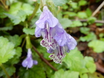 DSCN1334.JPG
