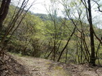 DSCN1337.JPG