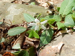DSCN1339.JPG
