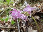 DSCN1344.JPG