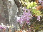 DSCN1345.JPG