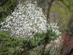 DSCN1346.JPG
