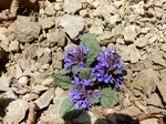 DSCN1347.JPG