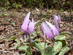 DSCN1355.JPG