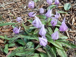 DSCN1357.JPG