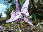 DSCN1358.JPG
