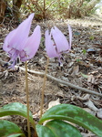 DSCN1363.JPG