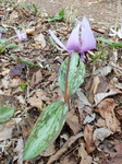 DSCN1365.JPG