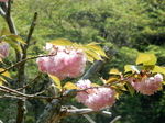 DSCN1447.JPG